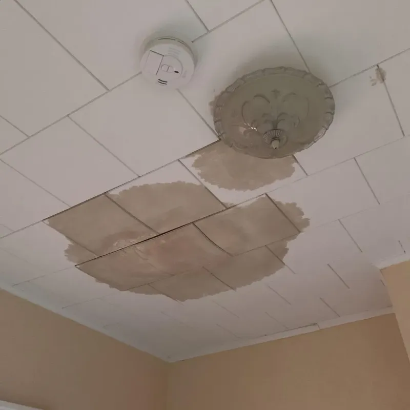 Ceiling Water Damage Repair in Red Lick, TX