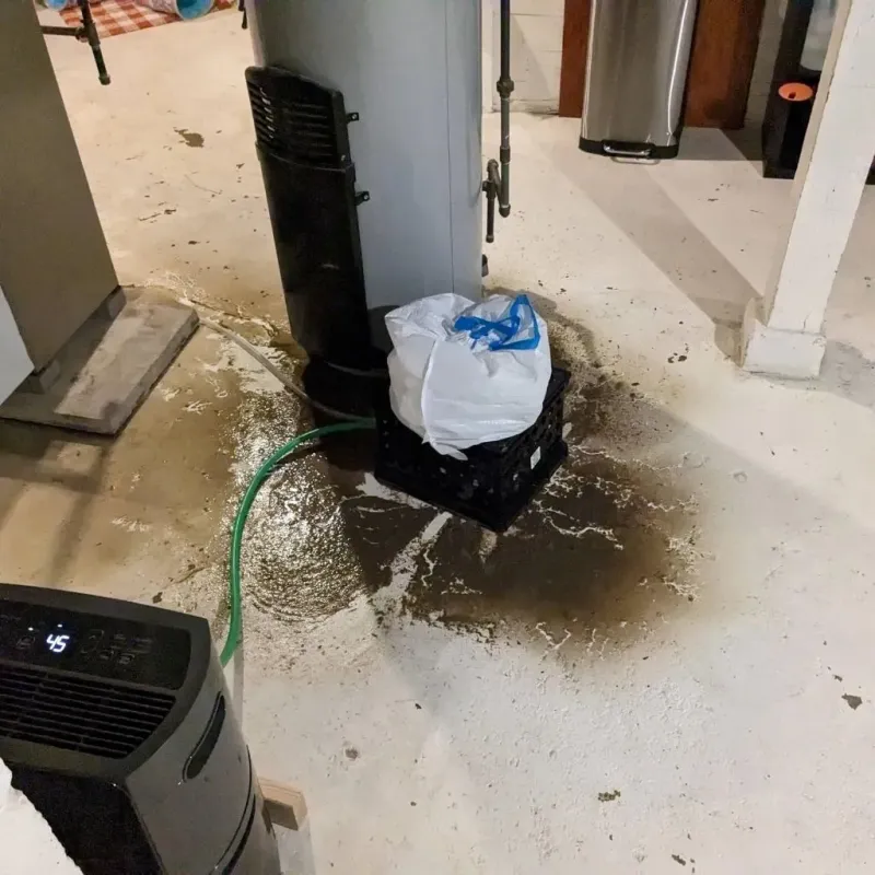 Sewage Backup Cleanup Service in Red Lick, TX